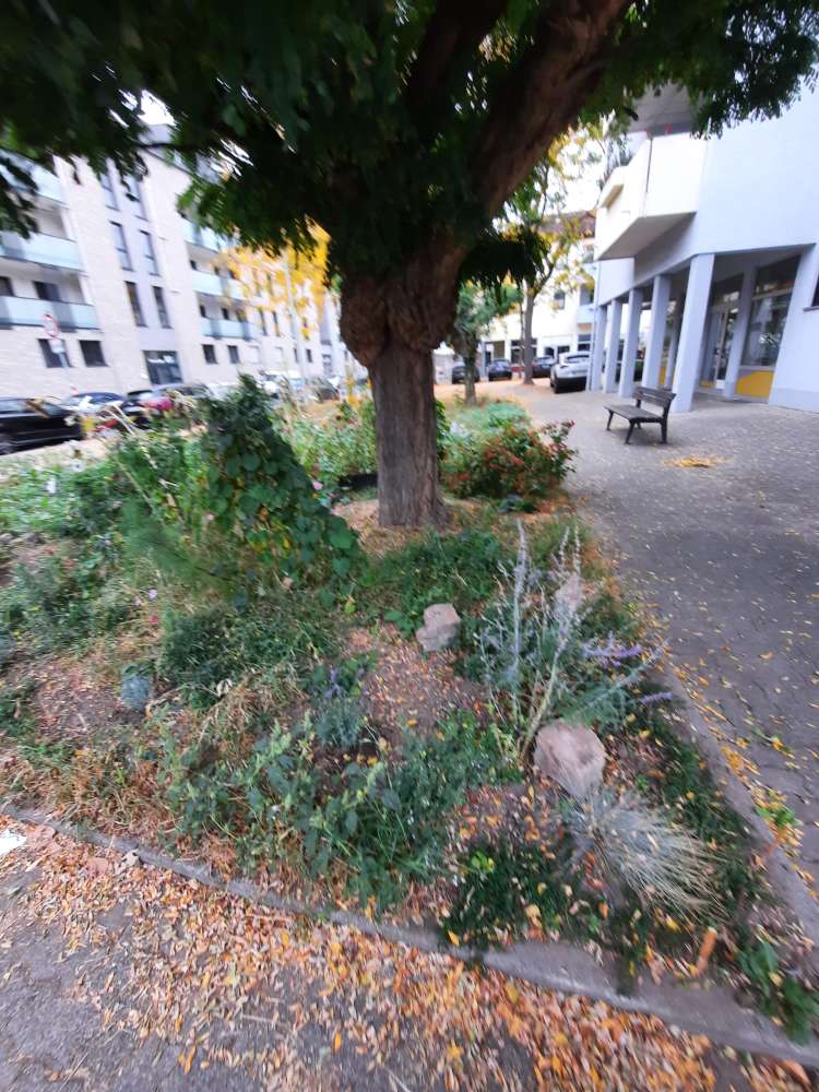 Giftköder-Abgebrochene Flaschenböden in Beet-Profilbild