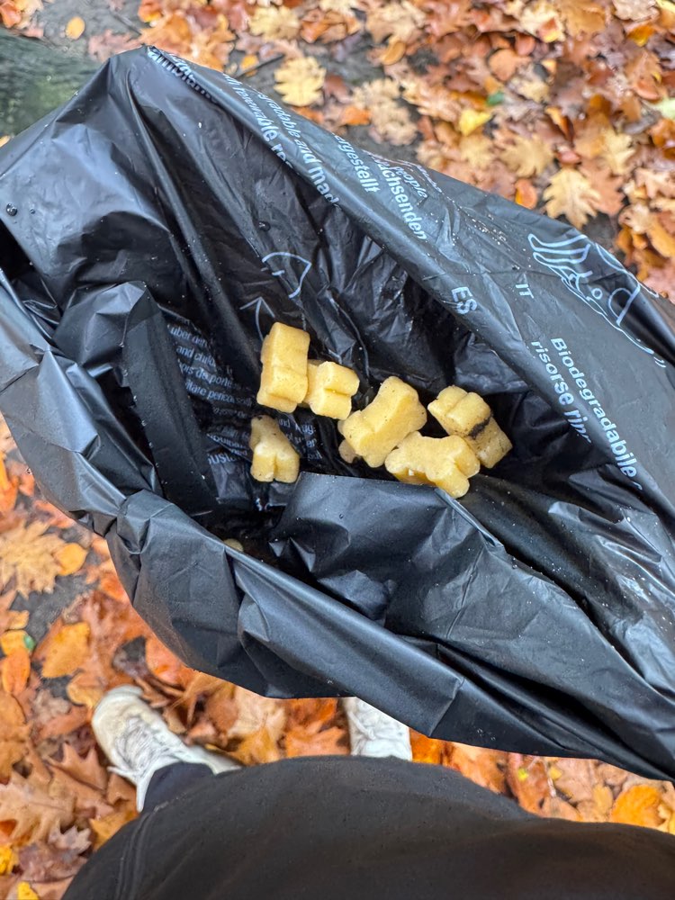 Giftköder-Möglicher Giftköder im Hammer Park-Profilbild