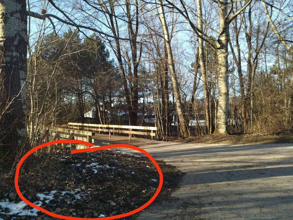 Giftköder-Rattengift auf Parkplatz im Ostpark gefu-Profilbild