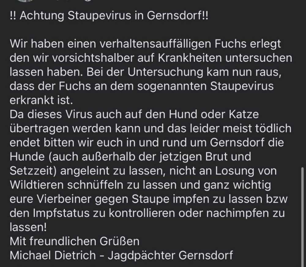 Giftköder-Staupevirus in Gernsdorf-Profilbild