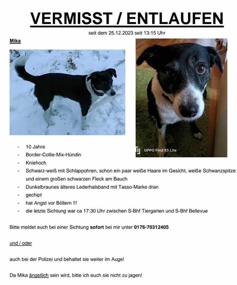 Suchmeldung-Mika-Profilbild