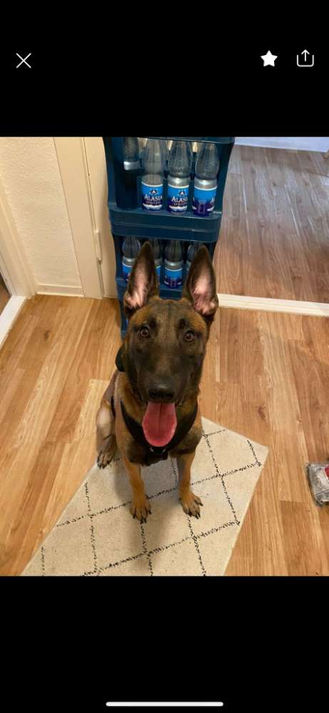 Suchmeldung-Milow-Profilbild