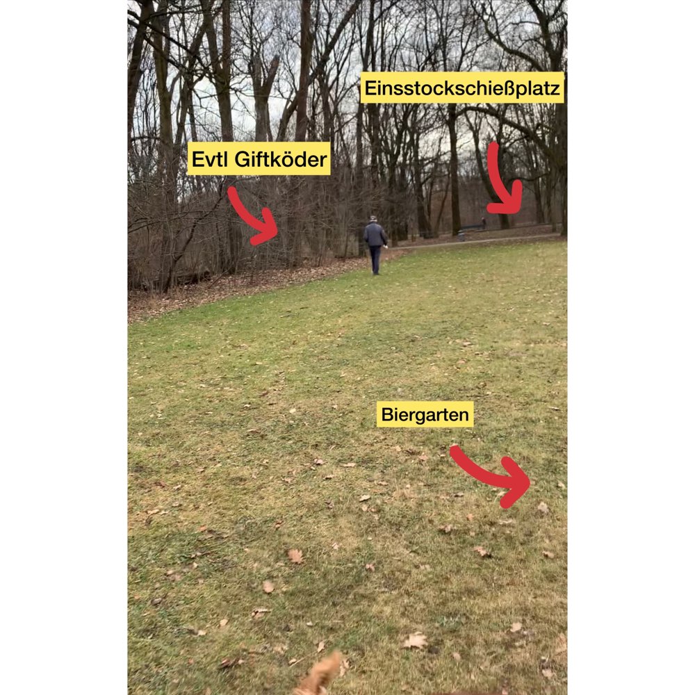 Giftköder-Giftköder Verdacht Hirschgarten-Profilbild