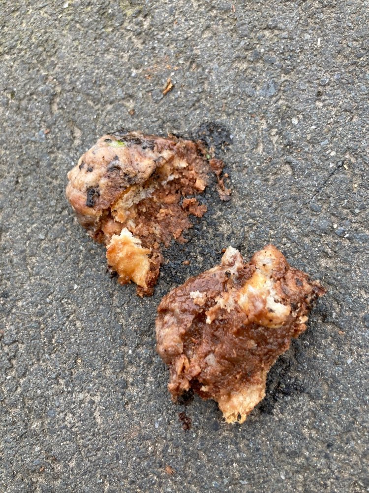 Giftköder-Vermutlicher Giftköder-Profilbild