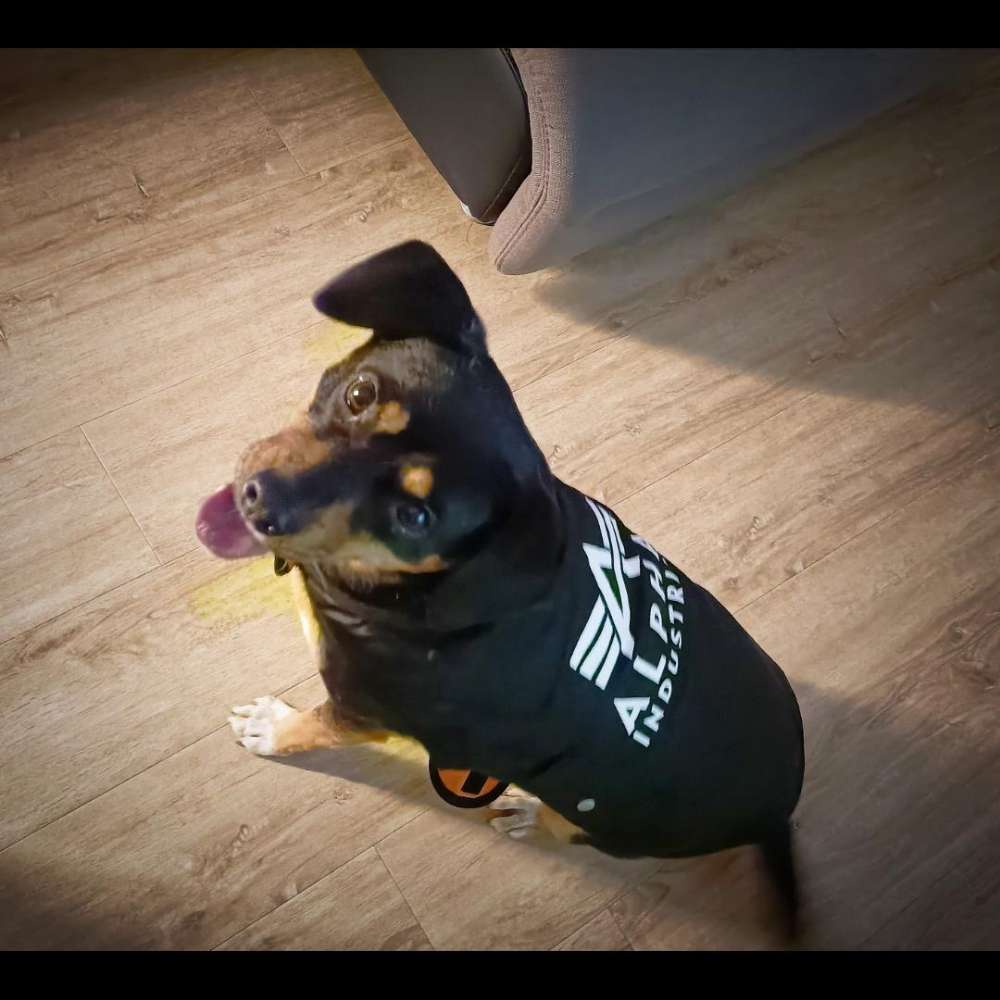 Hundetreffen-Brösel und ich sind auf der Suche nach Sky & Tim's Mama-Profilbild