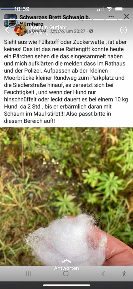 Giftköder-Verdacht auf das neue Rattengift-Profilbild