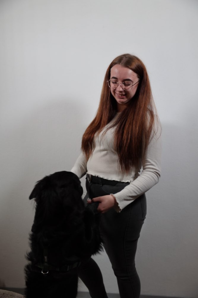 Hundetreffen-Neue Hundefreunde gesucht-Profilbild