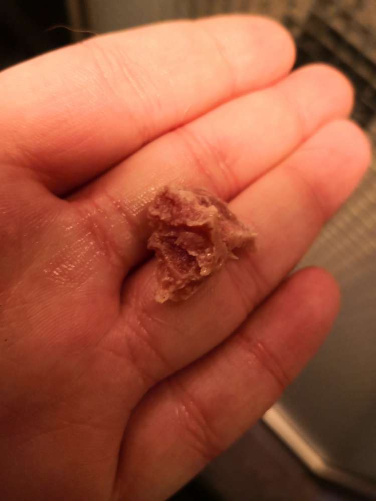 Giftköder-Vermurlich Giftköder im Beet versteckt!-Profilbild