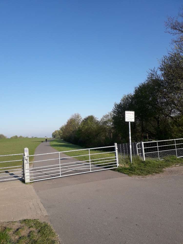 Giftköder-Totes Reh am Deich-Profilbild