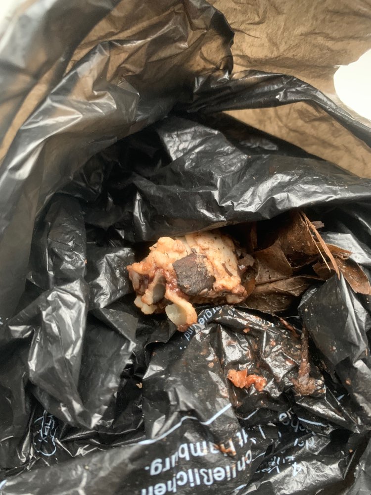 Giftköder-Vermutlicher Giftköder-Profilbild