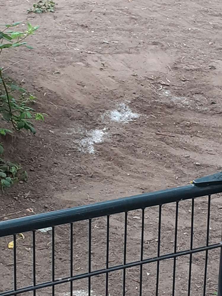 Giftköder-Weißes Pulver vor und auf dem Hundeplatz-Profilbild