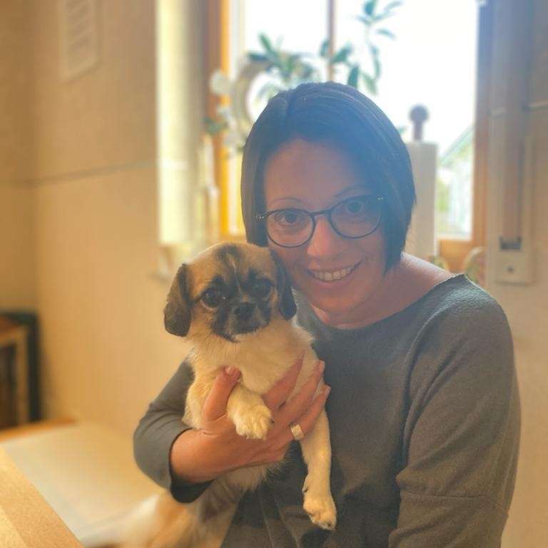 Hundetreffen-Gassi mit kleinen Hunden-Profilbild