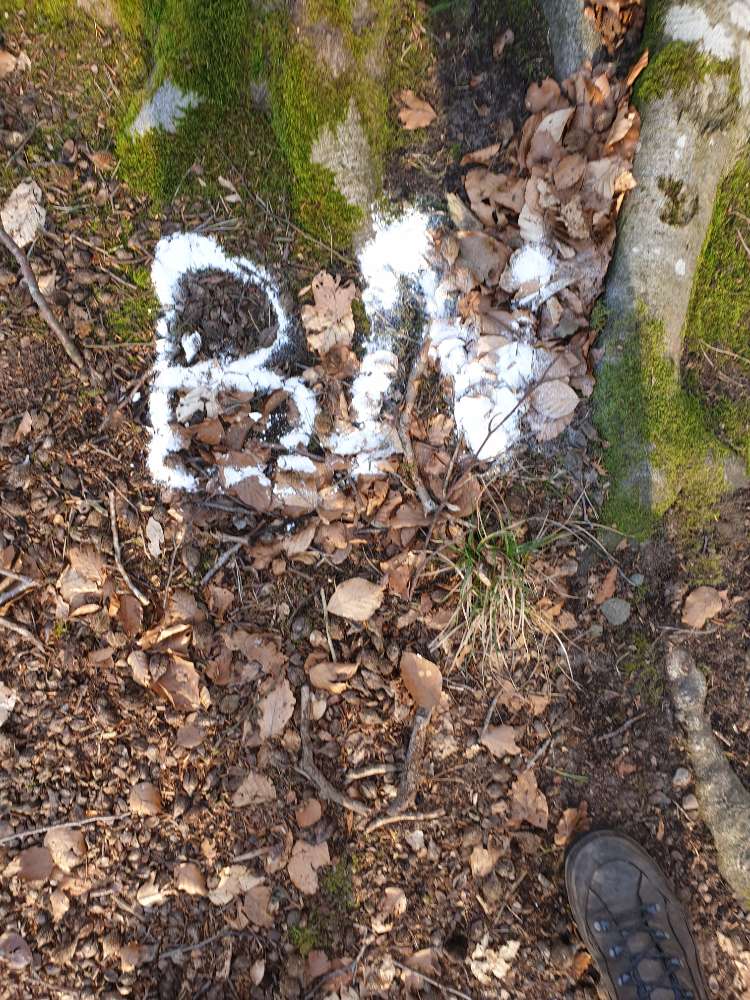 Giftköder-Verdacht auf Giftköder-Profilbild