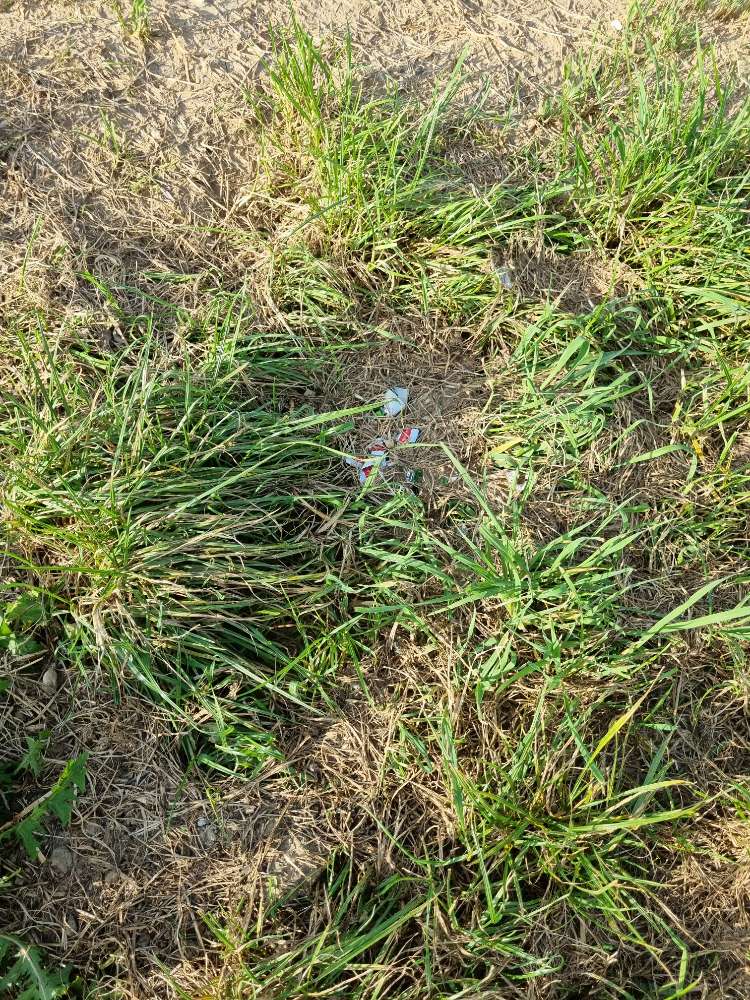 Giftköder-Glasscherben am Feldrand-Profilbild