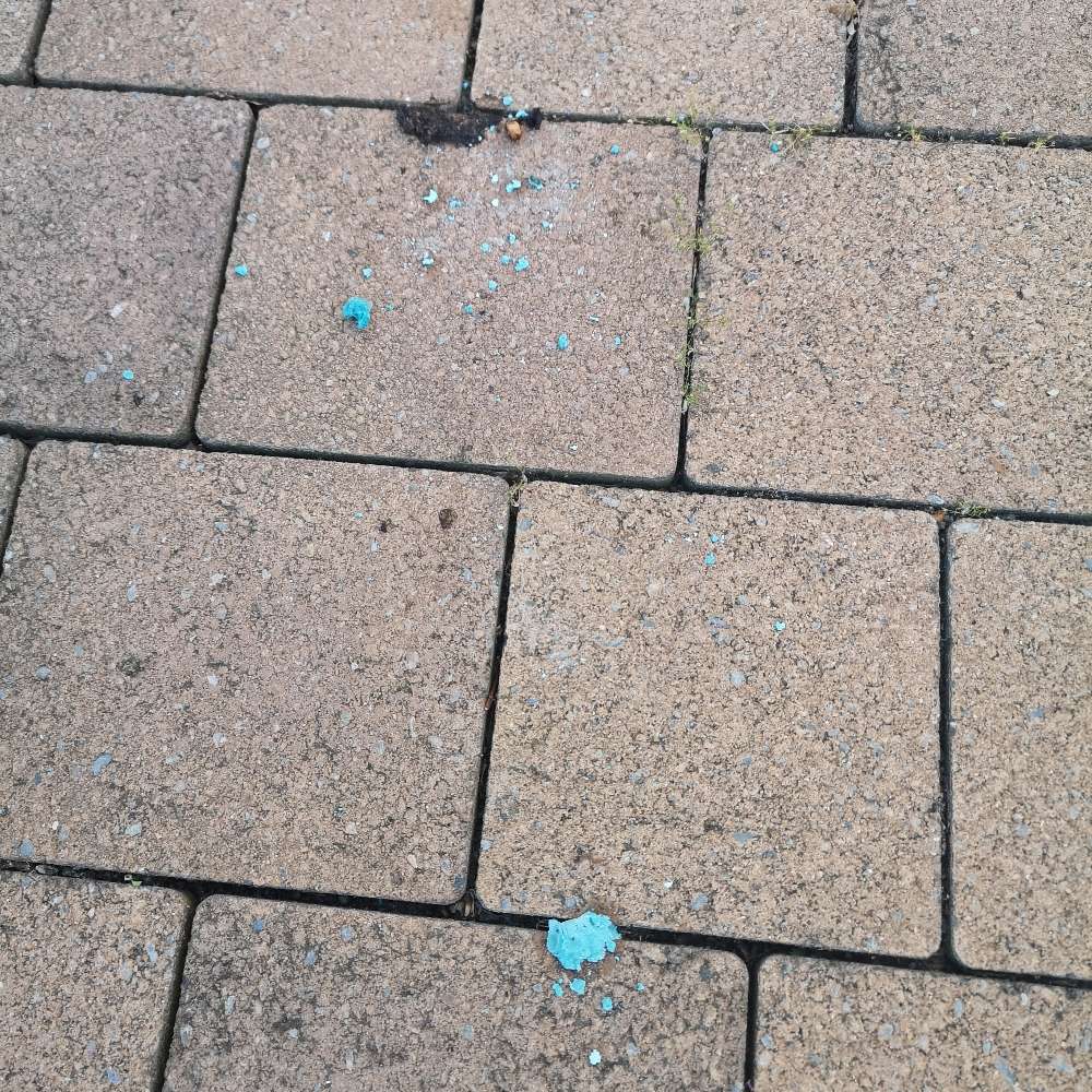 Giftköder-Rattengift auf Parkplatz-Profilbild