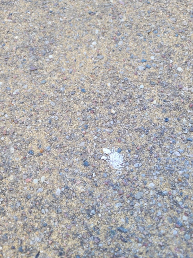 Giftköder-Weisses Pulver-Profilbild