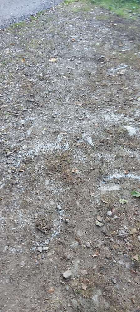 Giftköder-Eventueller Giftköder kreisförmig-Profilbild