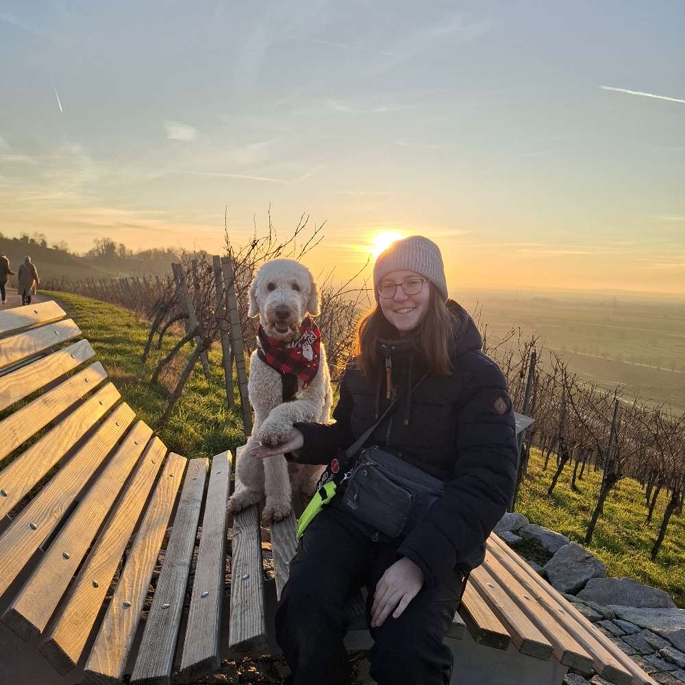 Hundetreffen-Gemeinsame Spaziergänge und Spieletreffen-Profilbild