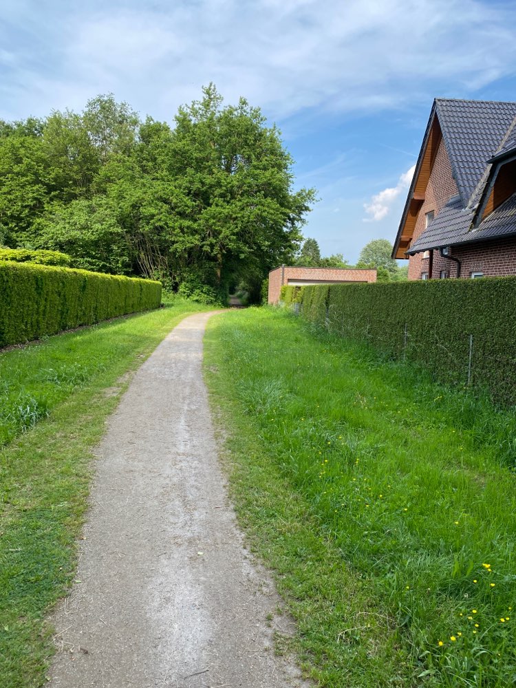 Giftköder-Eichenprozessionsspinner-Profilbild