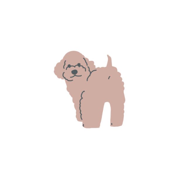 Hundetreffen-Pudeltreff-Profilbild