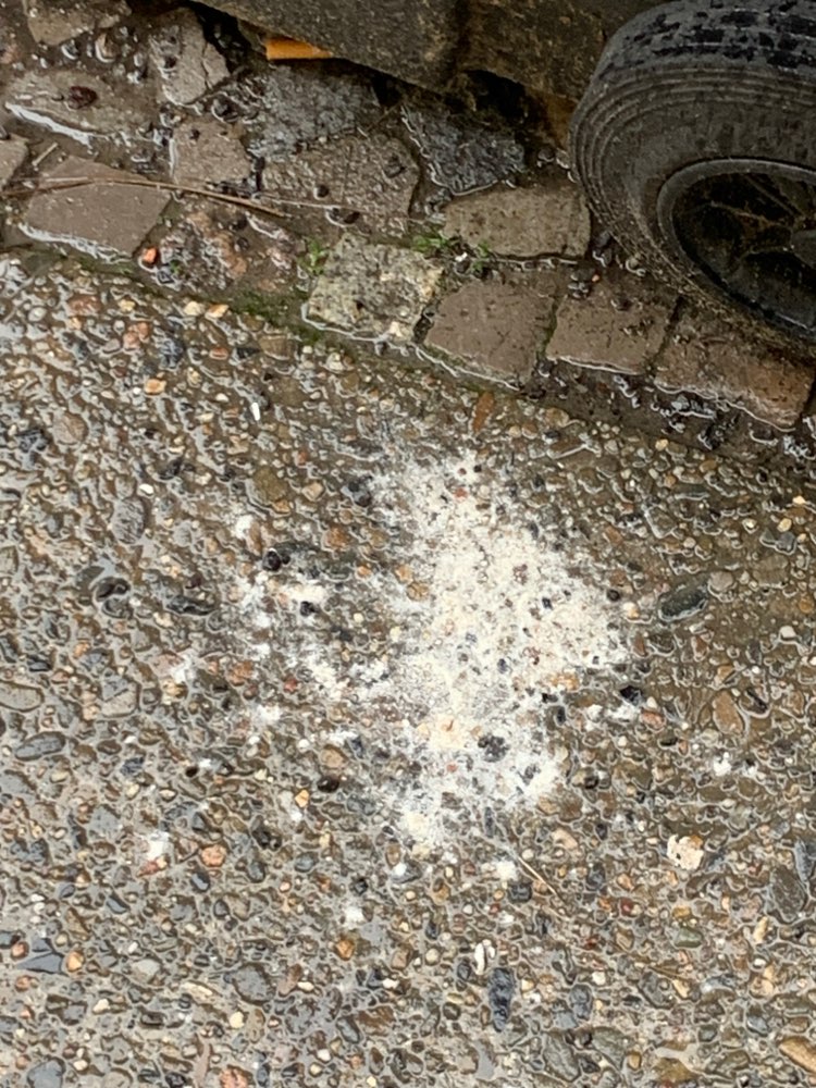 Giftköder-Weißes Pulver im Bergmannkiez-Profilbild