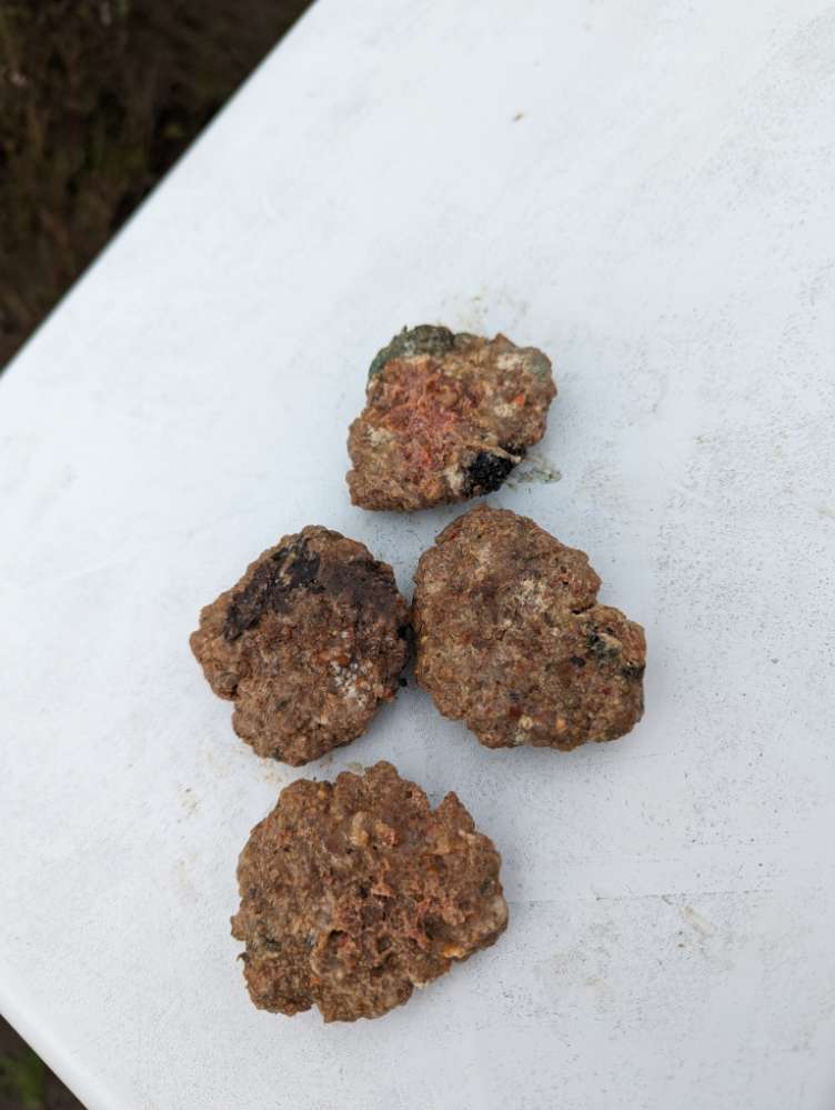 Giftköder-Möglicher Giftköder-Profilbild