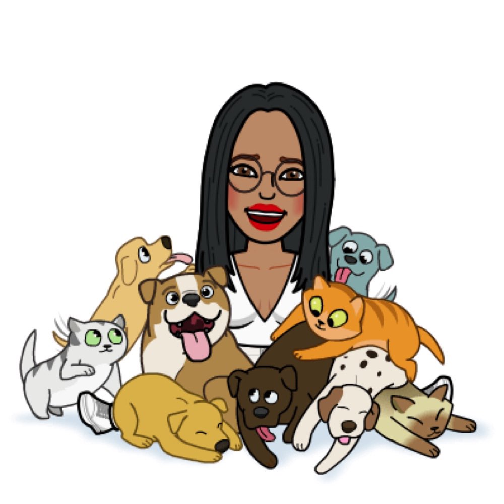 Hundetreffen-Hundetreffen in Hanau gesucht-Profilbild