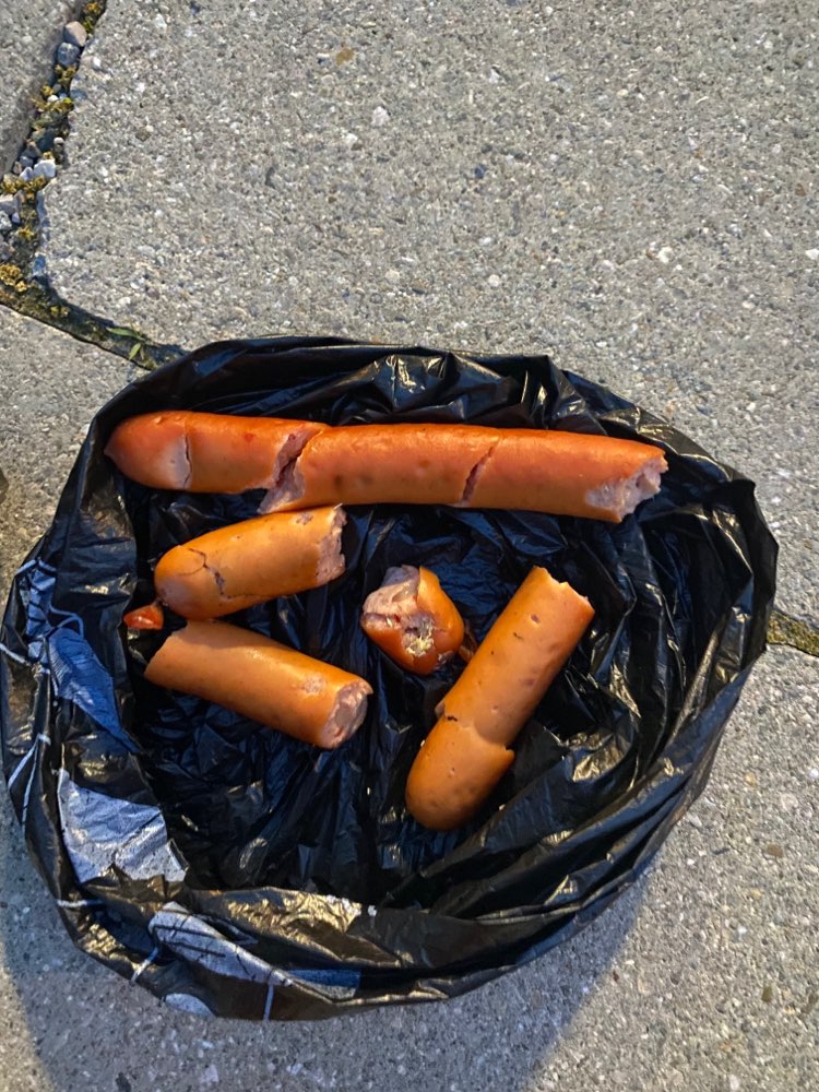 Giftköder-Käsecrainer im Gebüsch-Profilbild