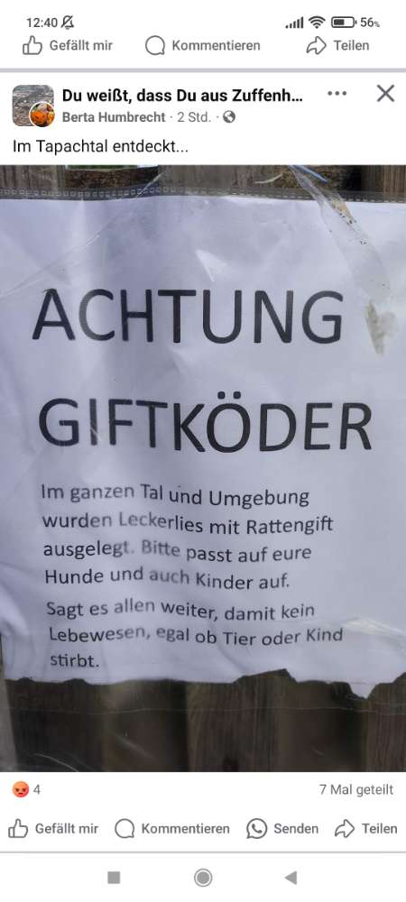 Giftköder-Giftköder-Profilbild