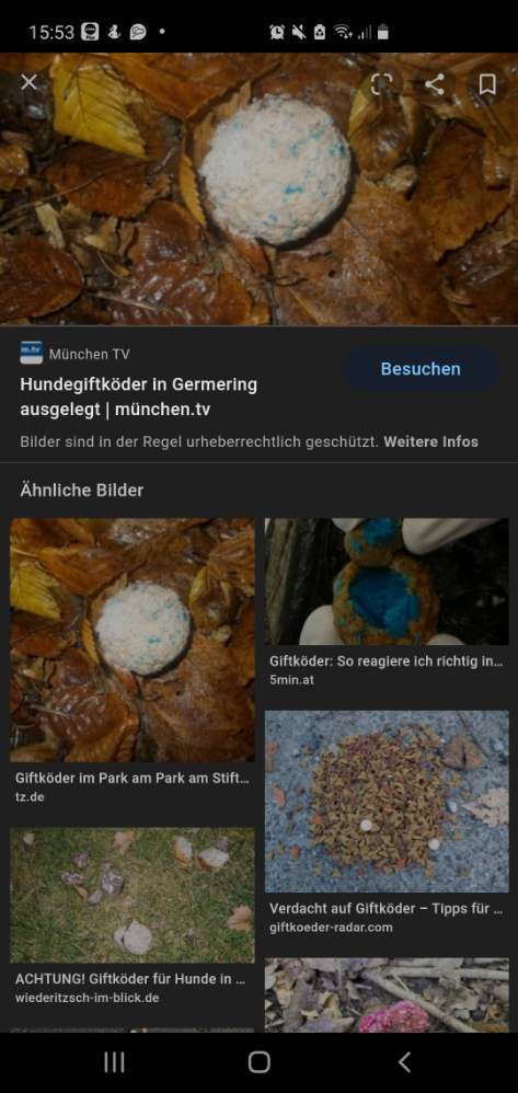 Giftköder-Giftköder in Form von weißem Pulver-Profilbild