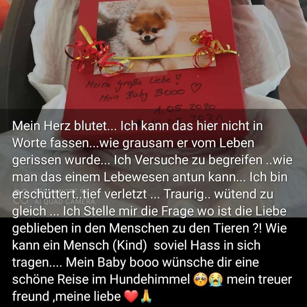 Giftköder-8-Jährige Hundemörderin-Profilbild