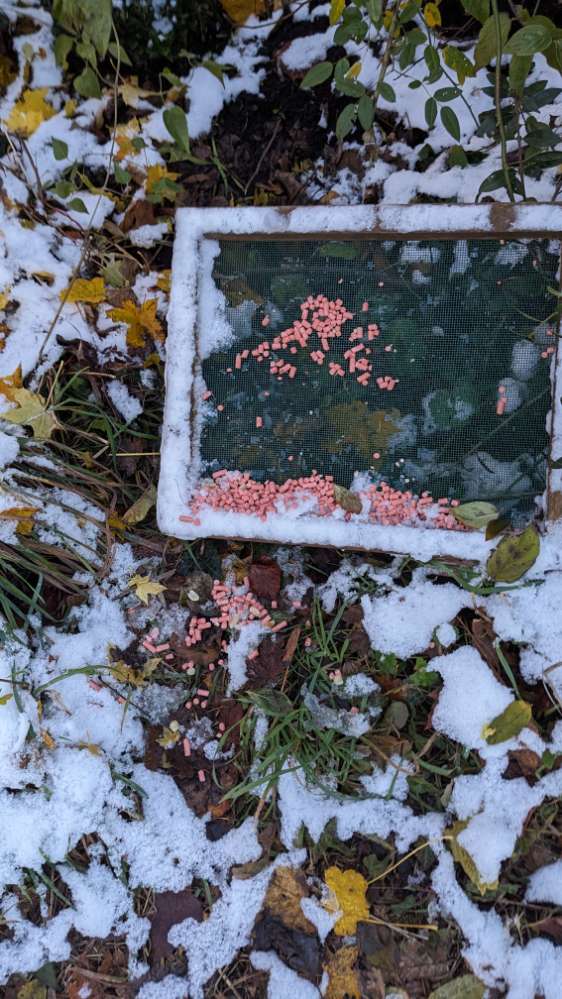 Giftköder-Eingang Westpark scheinbar Giftköder-Profilbild