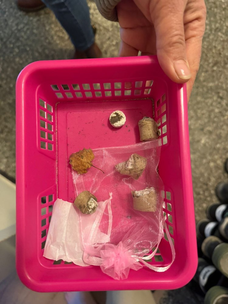 Giftköder-Giftköder Dorbaum-Profilbild