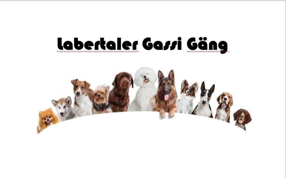 Hundetreffen-Labertaler Gassi Gang-Profilbild