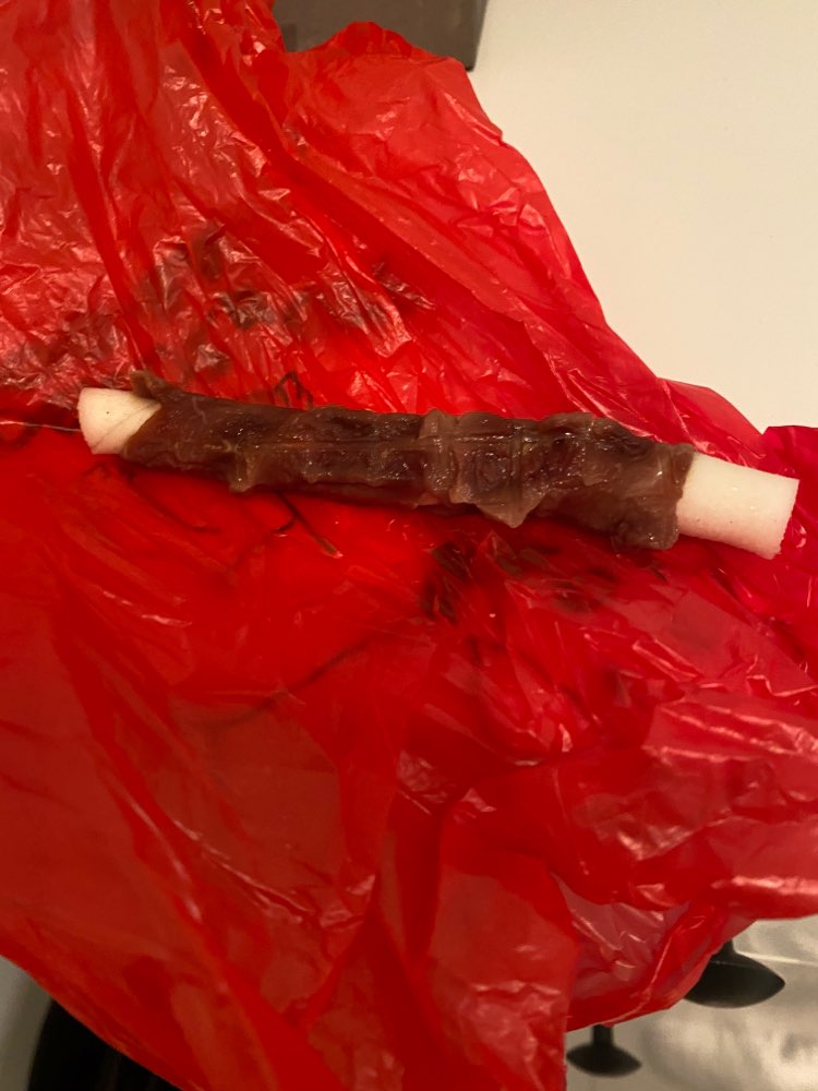 Giftköder-Kaustange-Profilbild