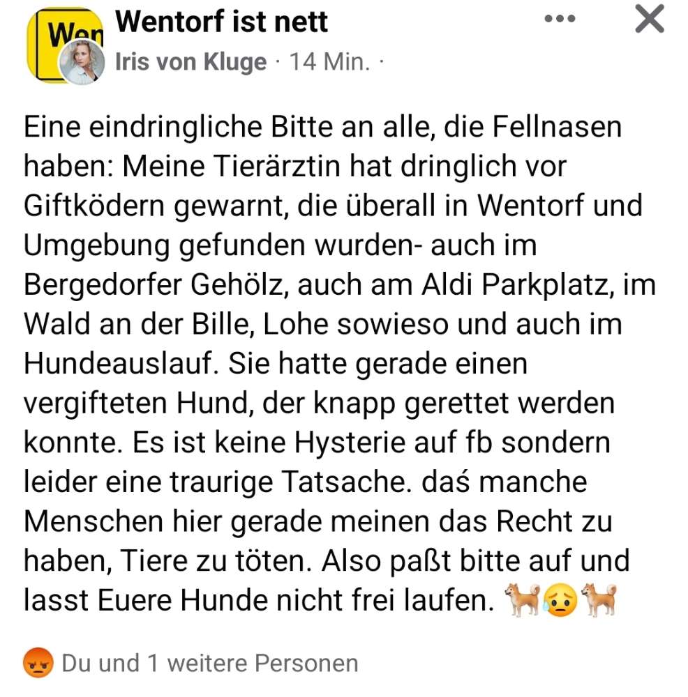 Giftköder-GIFTKÖDER-Profilbild