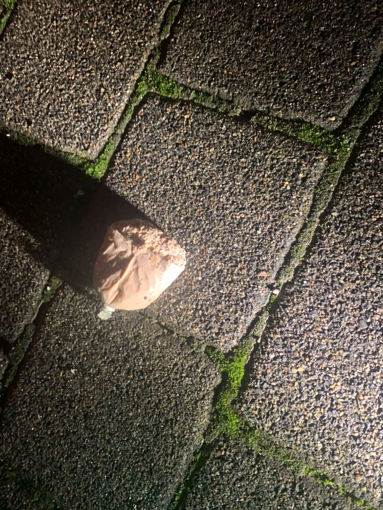 Giftköder-Offene Leberwurst auf Gehweg?-Profilbild