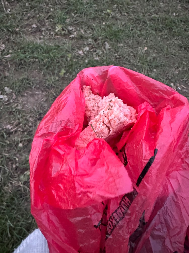 Giftköder-Giftköder-Profilbild