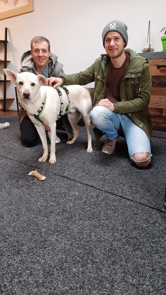 Hundetreffen-Hundefreunde gesucht 😊-Profilbild