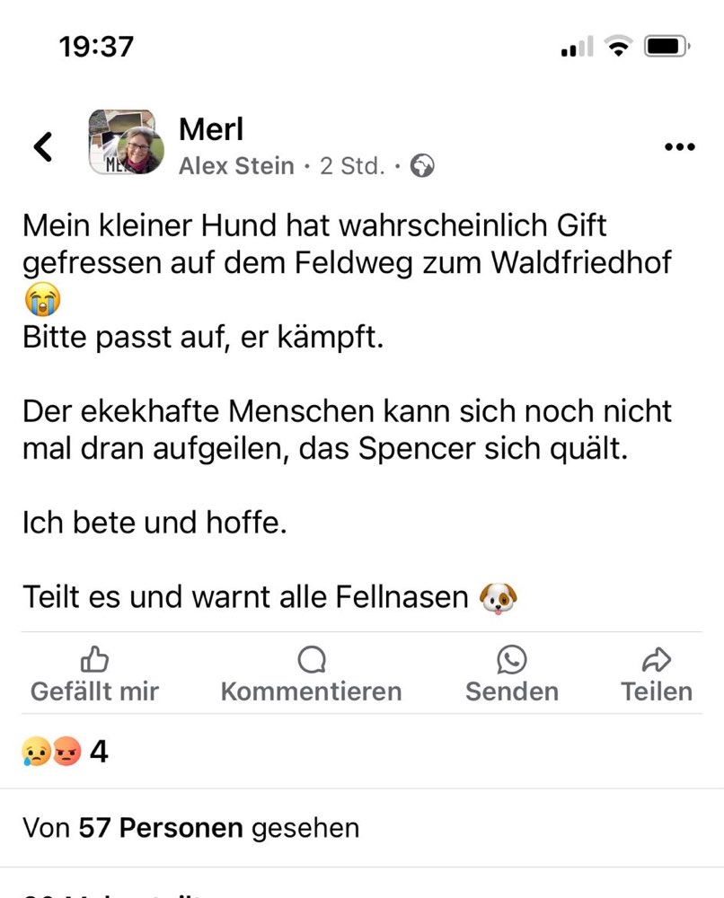 Giftköder-Giftköder-Profilbild