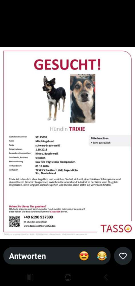 Suchmeldung-Trixie-Profilbild