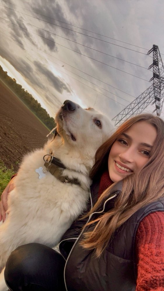 Hundetreffen-Gemeinsam laufen 🐕-Profilbild