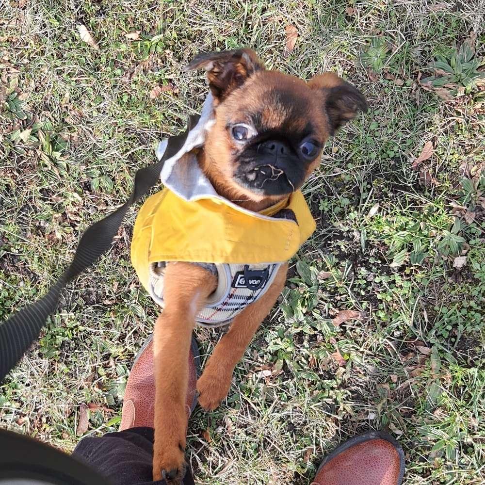 Hundetreffen-Mariannenpark-FUN mit Leopold-Profilbild