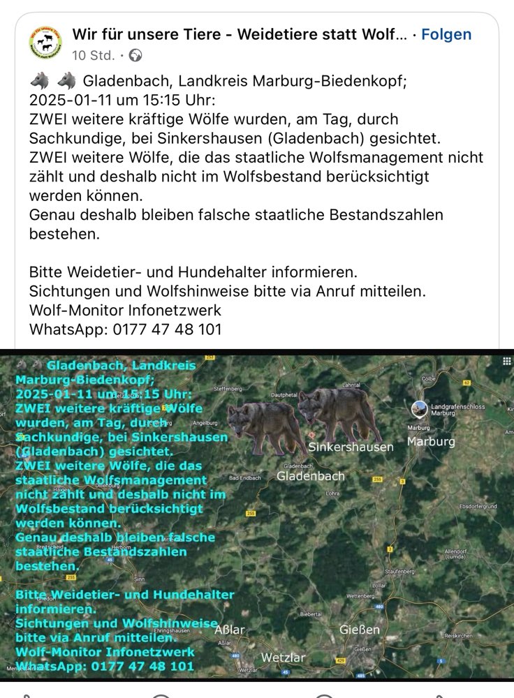 Giftköder-2 Wolf Sichtungen in Sinkershausen-Profilbild