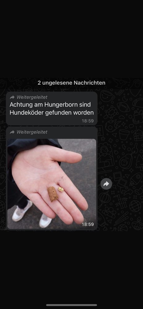 Giftköder-Hundeköder Reißzwecken-Profilbild