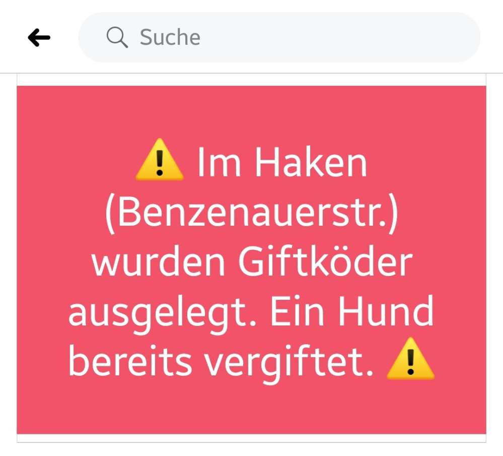 Giftköder-Giftköder-Profilbild
