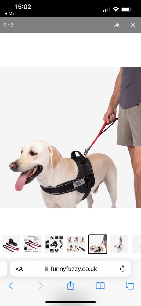 Hundetreffen-Hunde Treffen in Tönisvorst-Vorst und Umgebung bis Krefeld-Profilbild