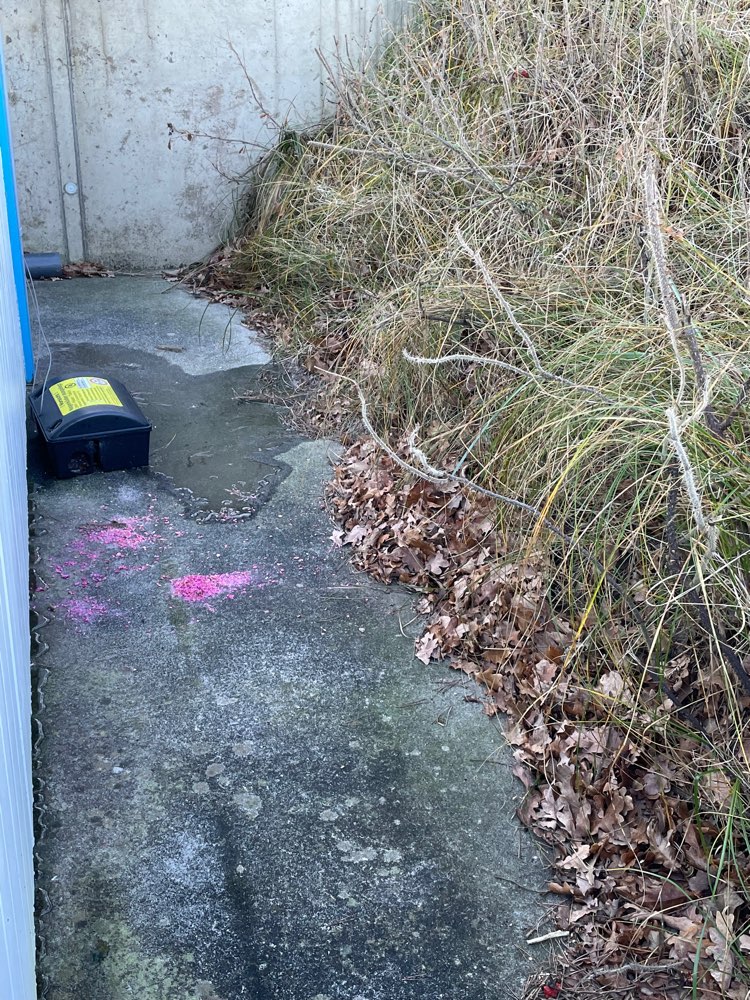 Giftköder-Rattengift-Profilbild