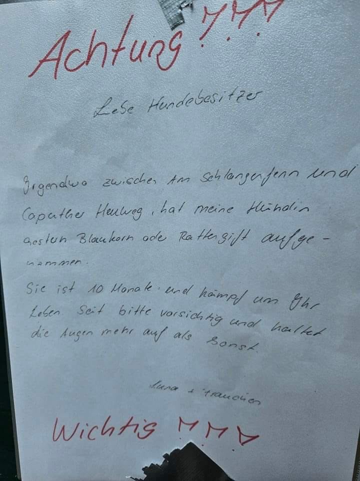 Giftköder-Giftköder-Profilbild