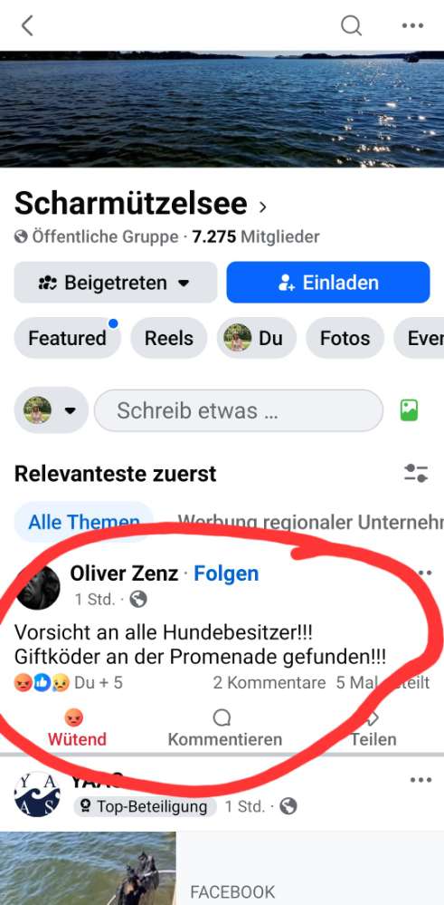 Giftköder-Giftköder Würstchen mit Reisszwecken-Profilbild